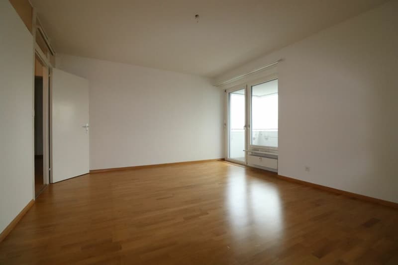 Bel appartement 2 pièces à louer avec vue imprenable (5)