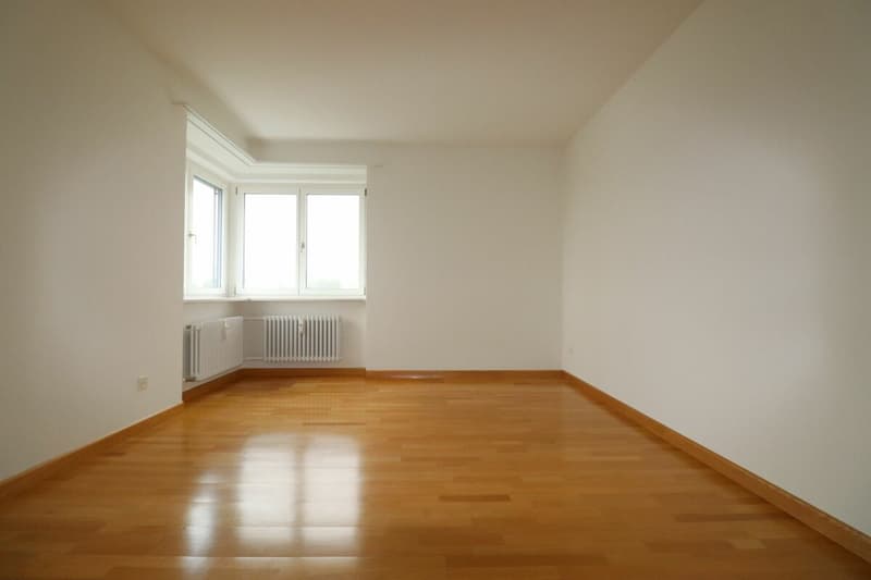 Bel appartement 2 pièces à louer avec vue imprenable (8)