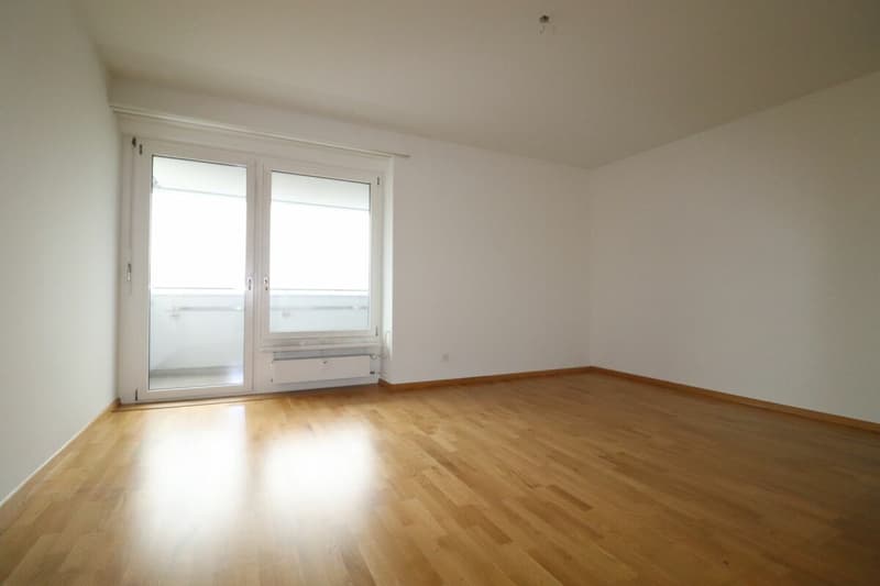 Bel appartement 2 pièces à louer avec vue imprenable (6)