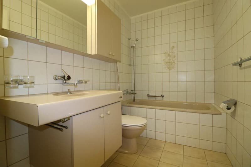 Bel appartement 2 pièces à louer avec vue imprenable (9)