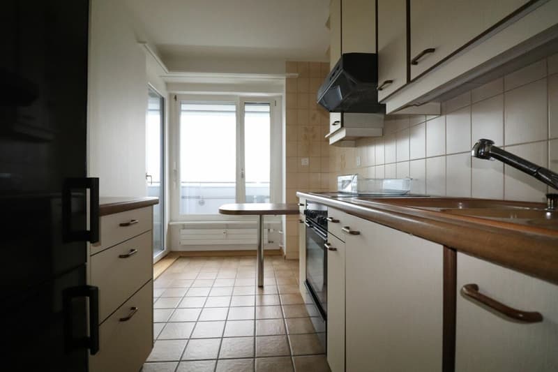 Bel appartement 2 pièces à louer avec vue imprenable (4)
