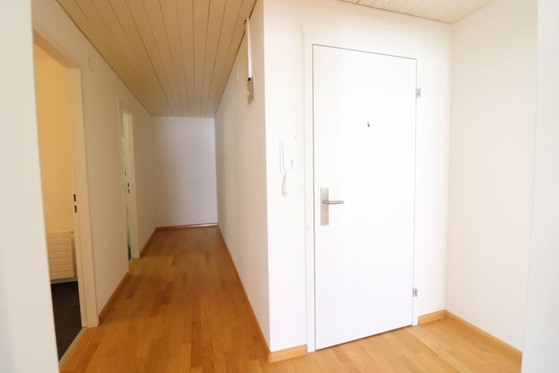 Kornackerstrasse, Frenkendorf - gemütliche und moderne Dachwohnung im 4.OG (4)