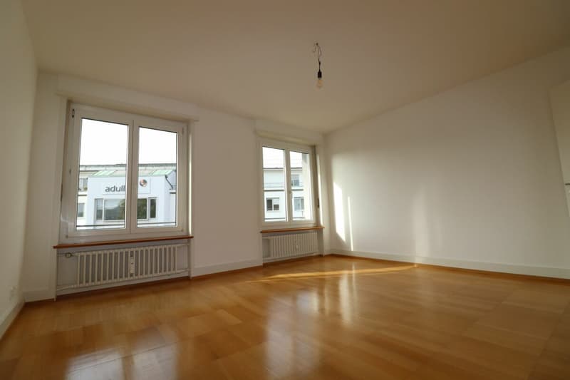Nähe Spalentor und Unispital- 3-Zimmerwohnung in Basel ideal für Singles oder Paare (6)