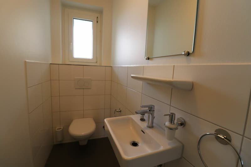 Nähe Spalentor und Unispital- 3-Zimmerwohnung in Basel ideal für Singles oder Paare (11)