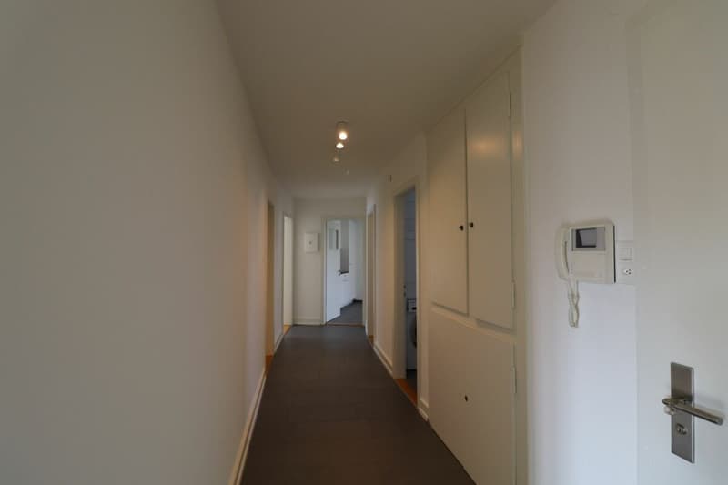 Nähe Spalentor und Unispital- 3-Zimmerwohnung in Basel ideal für Singles oder Paare (5)