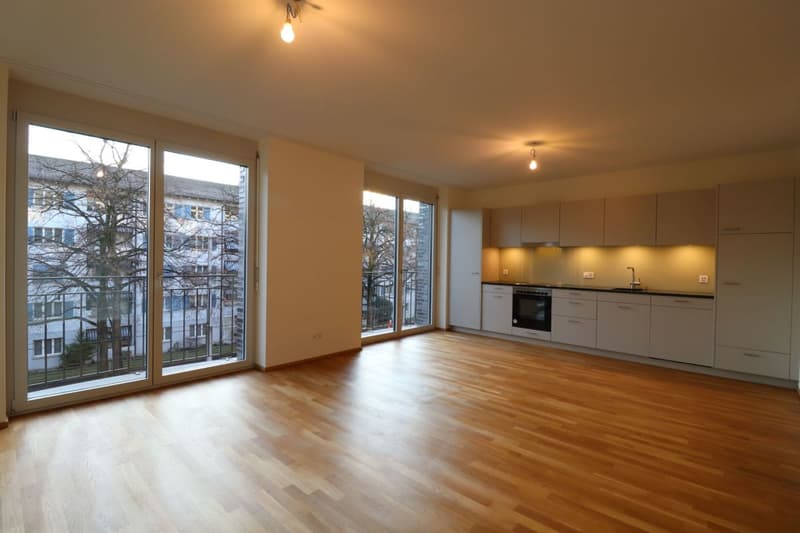 Nähe Weil am Rhein - moderne 4 ½-Zimmerwohnung im 2.OG (2)
