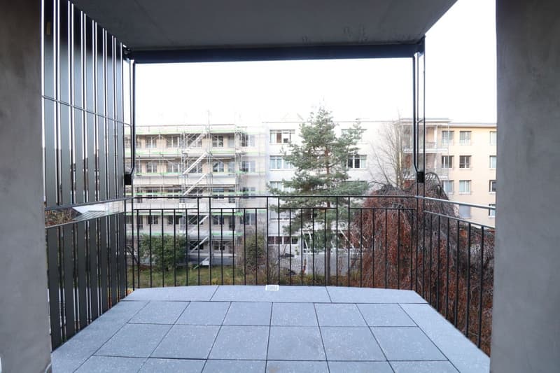 Nähe Weil am Rhein - moderne 4 ½-Zimmerwohnung im 2.OG (8)