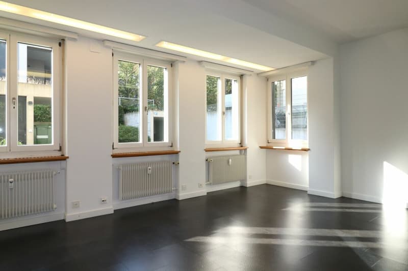 Büro-/Therapieräume Nähe Aeschenplatz und Bahnhof SBB (2)
