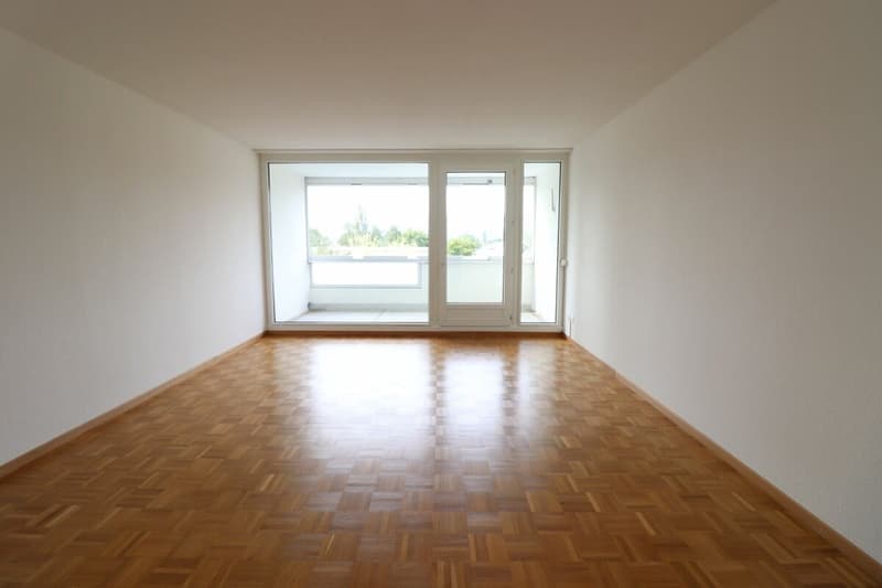 Nähe Mischelicenter- moderne 3 1/2 Zimmer-Maisonettewohnung in Reinach (3)