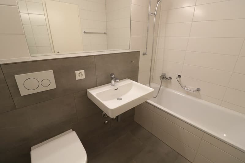 Nähe Mischelicenter- moderne 3 1/2 Zimmer-Maisonettewohnung in Reinach (10)