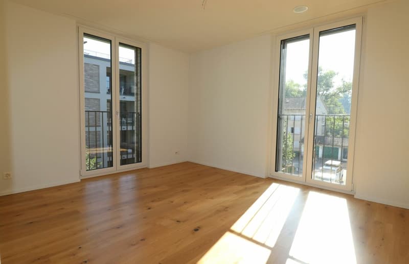 3 1/2-Zimmer-Wohnung / Xaver-Areal, Binningen (9)