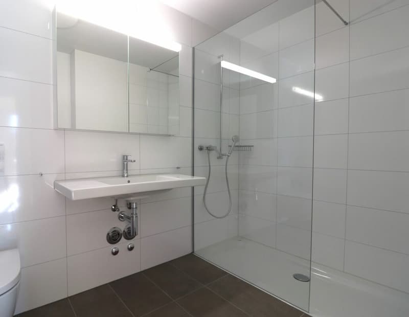 3 1/2-Zimmer-Wohnung / Xaver-Areal, Binningen (11)