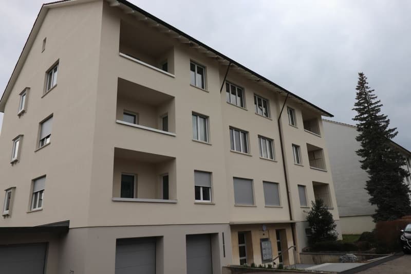 Reinach, Nähe Dorfzentrum - moderne 3-Zimmerwohnung an der Alemannenstrasse (10)