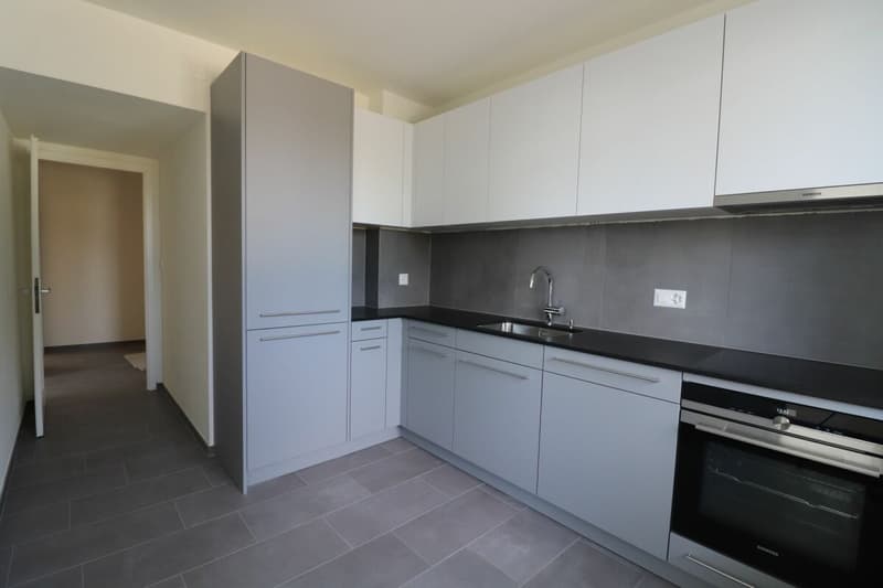 Reinach, Nähe Dorfzentrum - moderne 3-Zimmerwohnung an der Alemannenstrasse (2)