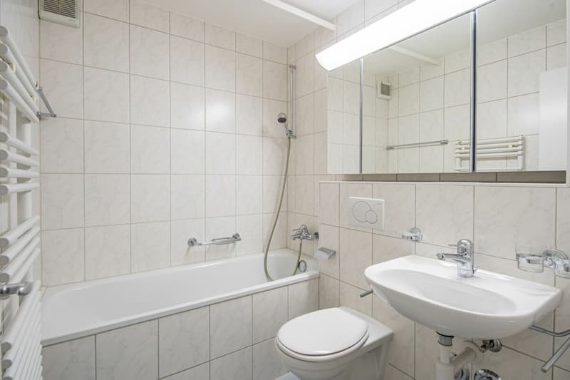 Zwischen Römerwiese und Bahnhof Muttenz - gemütliche 3-Zimmerwohnung im EG (10)