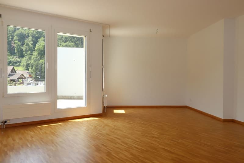 Helle und grosszügige 2 1/2-Zimmer-Wohnung in Bättwil zu vermieten (2)