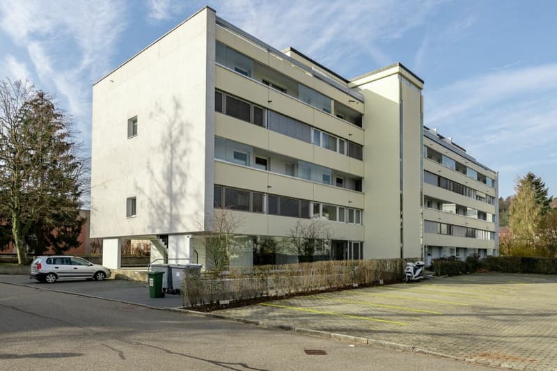 Nähe Mischelicenter- moderne 3 1/2 Zimmer-Maisonettewohnung in Reinach (1)