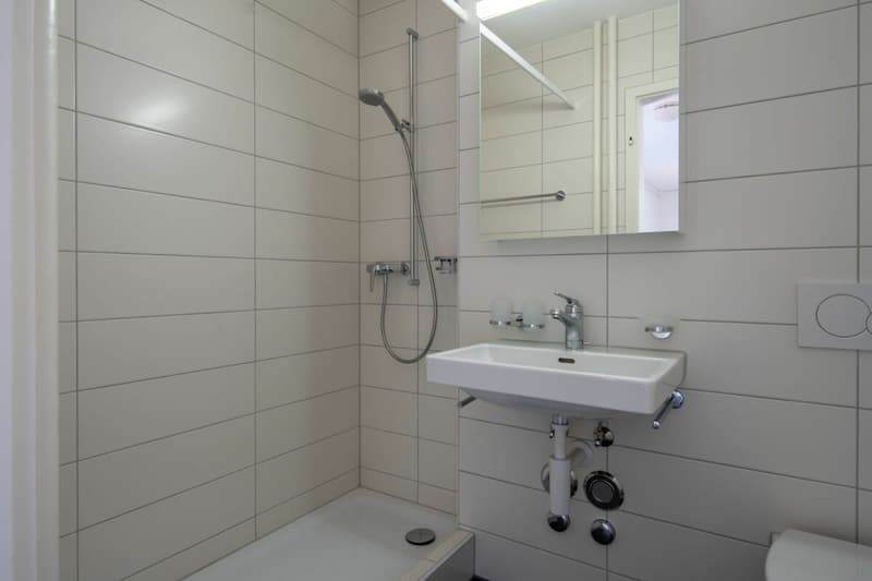 Kleinhüningen, Nähe Dreiländereck - helle 3-Zimmerwohnung im 4.OG (11)
