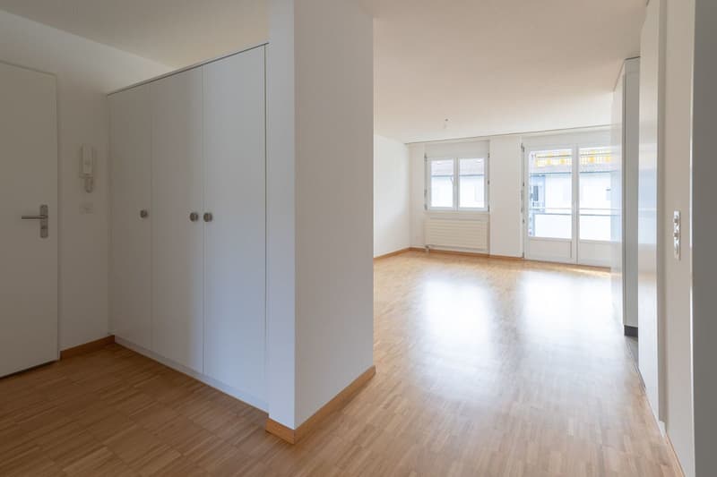 Wasserwerkstrasse - schöne moderne 3 1/2 Zimmer-Wohnung im 2.OG (2)