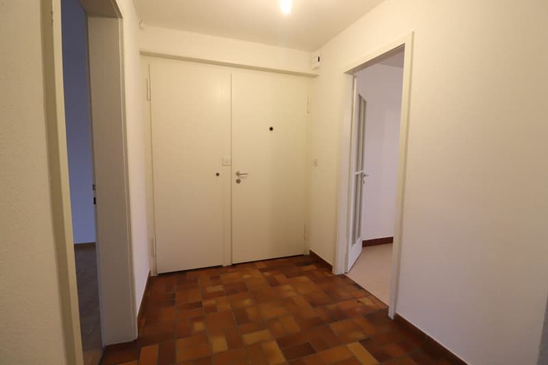 Nähe Letten Center und Allschwiler Weiher - gemütliche 3-Zimmerwohnung im 2.OG (3)