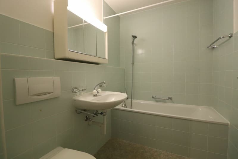 Nähe Letten Center und Allschwiler Weiher - gemütliche 3-Zimmerwohnung im 2.OG (9)