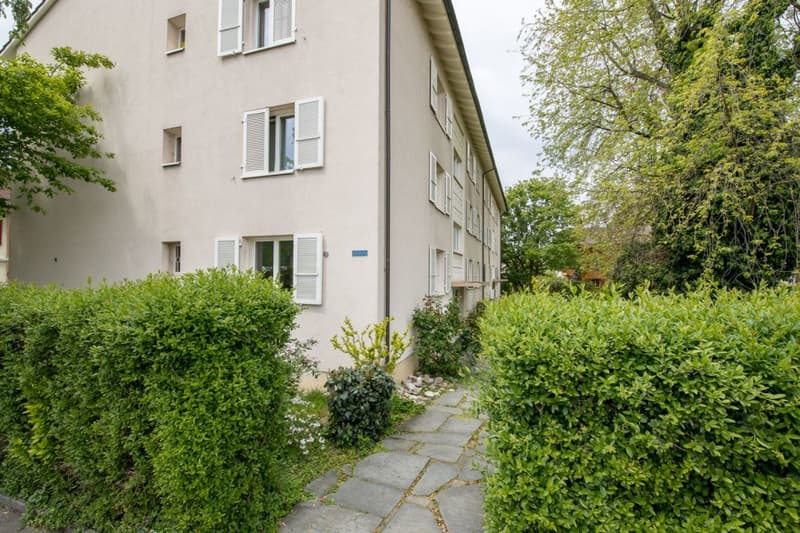 Nähe Letten Center und Allschwiler Weiher - gemütliche 3-Zimmerwohnung im 2.OG (1)