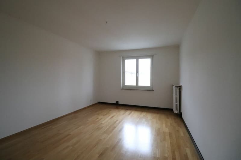 Nähe Letten Center und Allschwiler Weiher - gemütliche 3-Zimmerwohnung im 2.OG (8)