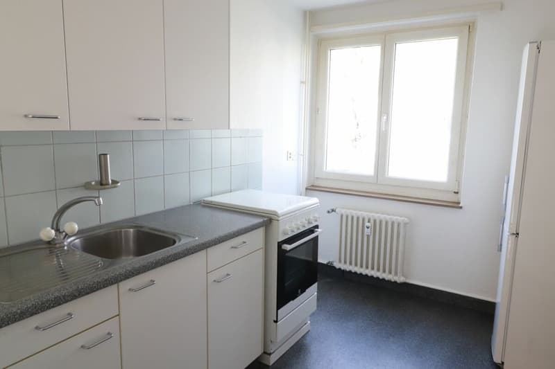 Zwischen Gemeindepark Allschwil und Letten Center - gemütliche 2-Zimmerwohnung (2)