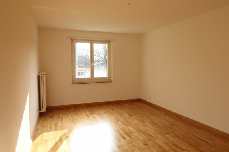 Zwischen Gemeindepark Allschwil und Letten Center - gemütliche 2-Zimmerwohnung (4)