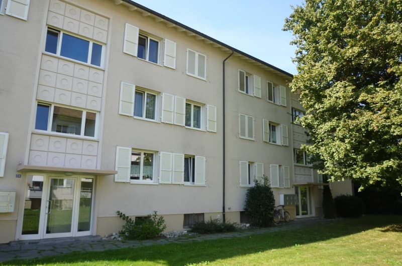 Zwischen Gemeindepark Allschwil und Letten Center - gemütliche 2-Zimmerwohnung (1)