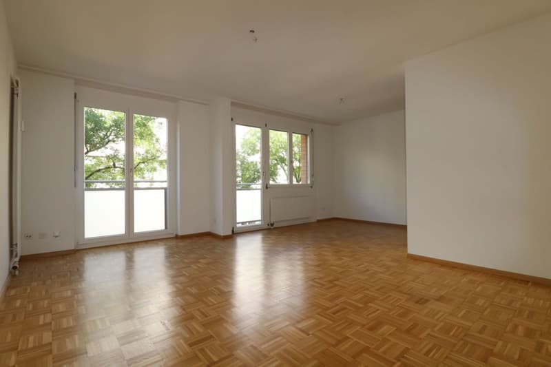Nähe Badischer Bahnhof, schöne 2 1/2 Zimmer-Wohnung zu vermieten (3)