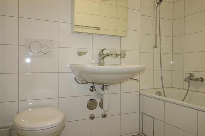 Nähe Spalentor/Uni - schöne 2 Zimmer-Wohnung zu vermieten (4)