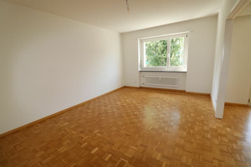 Nähe Kannenfeldpark - schöne 3 1/2-Zimmerwohnung in ruhiger Seitenstrasse zu vermieten (5)