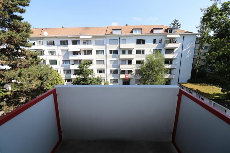 Nähe Kannenfeldpark - schöne 3 1/2-Zimmerwohnung in ruhiger Seitenstrasse zu vermieten (2)