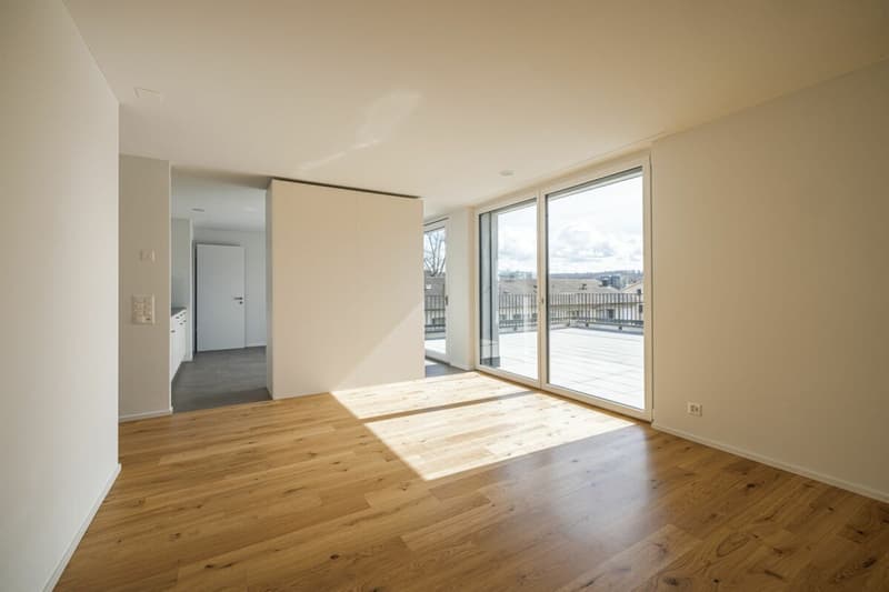 Xaver-Areal, Binningen - moderne 4 1/2-Zimmer-Wohnung mit grosser Dachterrasse (2)