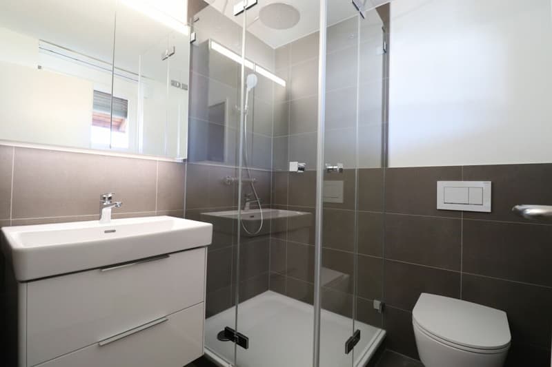 Im beliebten Freuler-Quartier - moderne Maisonette-Dachwohnung mit 2 Balkonen (6)