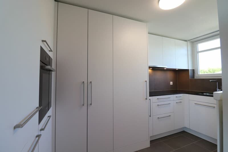Im beliebten Freuler-Quartier - moderne Maisonette-Dachwohnung mit 2 Balkonen (10)
