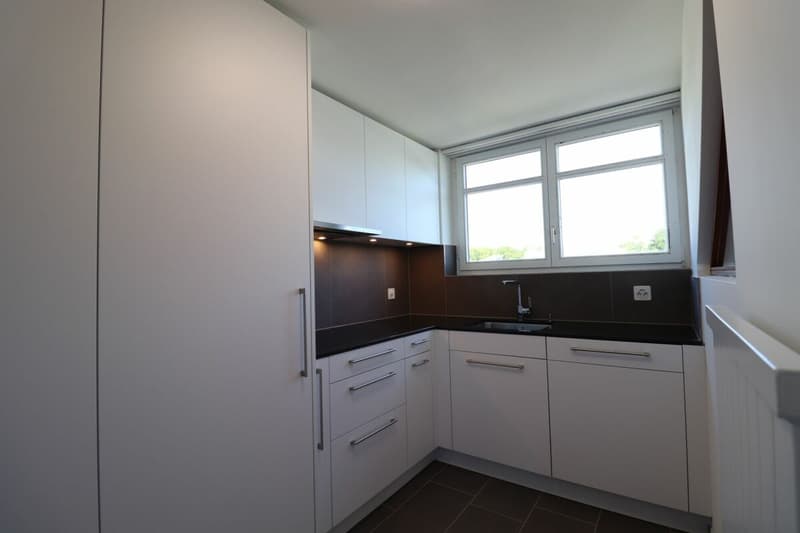 Im beliebten Freuler-Quartier - moderne Maisonette-Dachwohnung mit 2 Balkonen (9)
