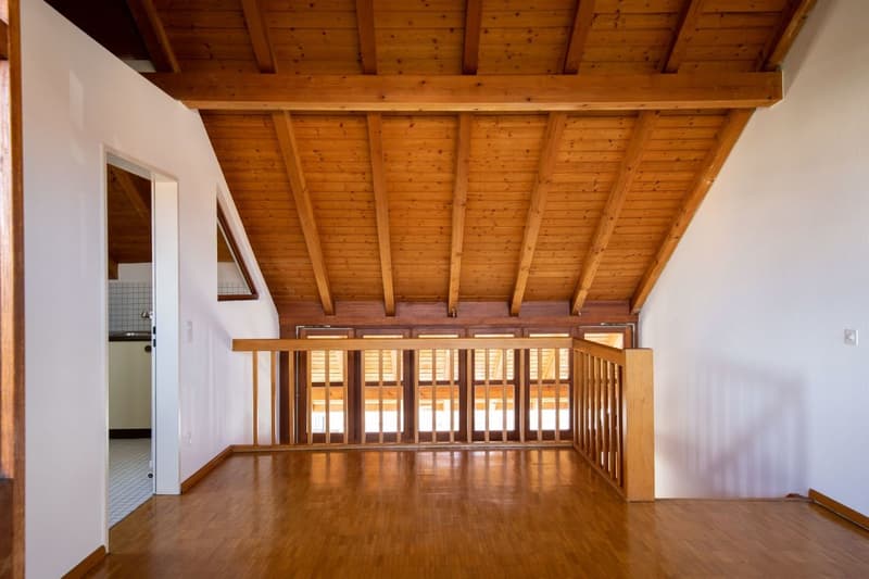 Im beliebten Freuler-Quartier - moderne Maisonette-Dachwohnung mit 2 Balkonen (8)