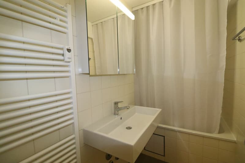 Zwischen Novartis Campus und Kannenfeldpark - moderne 3-Zimmerwohnung in Basel zu vermieten (9)