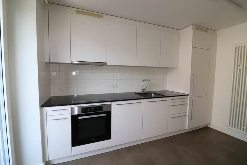 Zwischen Novartis Campus und Kannenfeldpark - moderne 3-Zimmerwohnung in Basel zu vermieten (1)