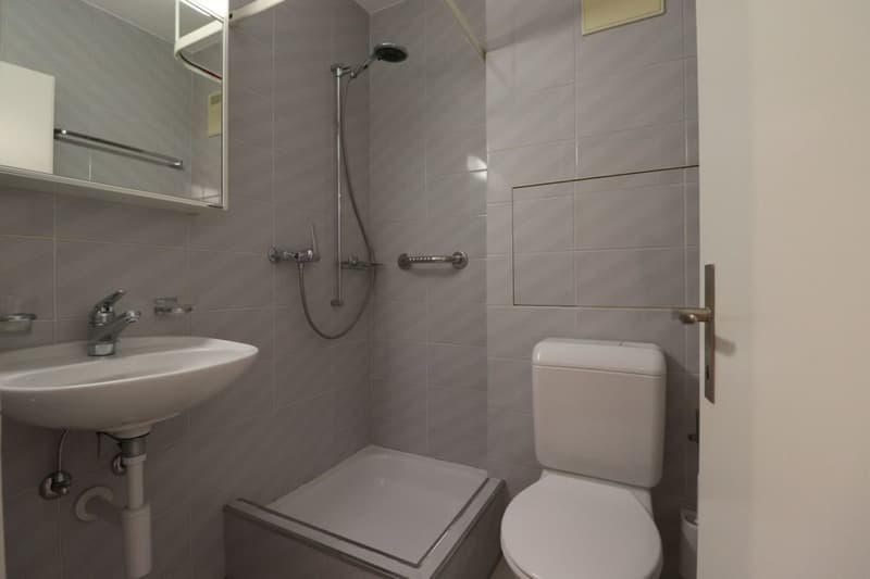Nähe Gartenbad Eglisee und Lange Erlen - gemütliche 4-Zimmerwohnung im 1.OG (12)