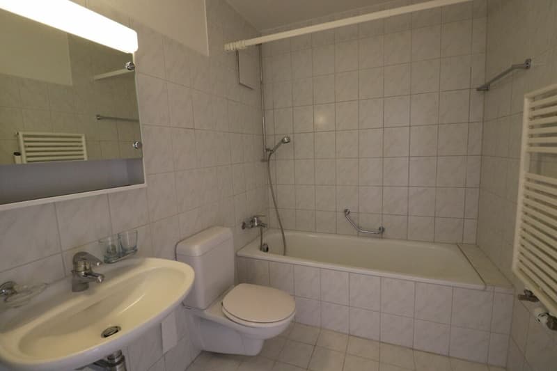 Unmittelbar zur Grenze Riehen - gemütliche 3 1/2-Zimmerwohnung in Riehen (12)