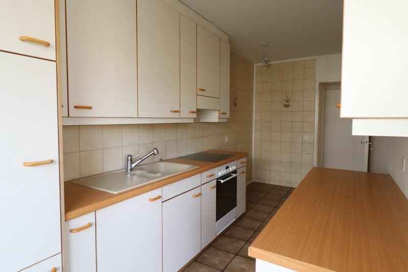 Zwischen Hallenbad und Birsig - schöne 3-Zimmer-Wohnung in Binningen (2)