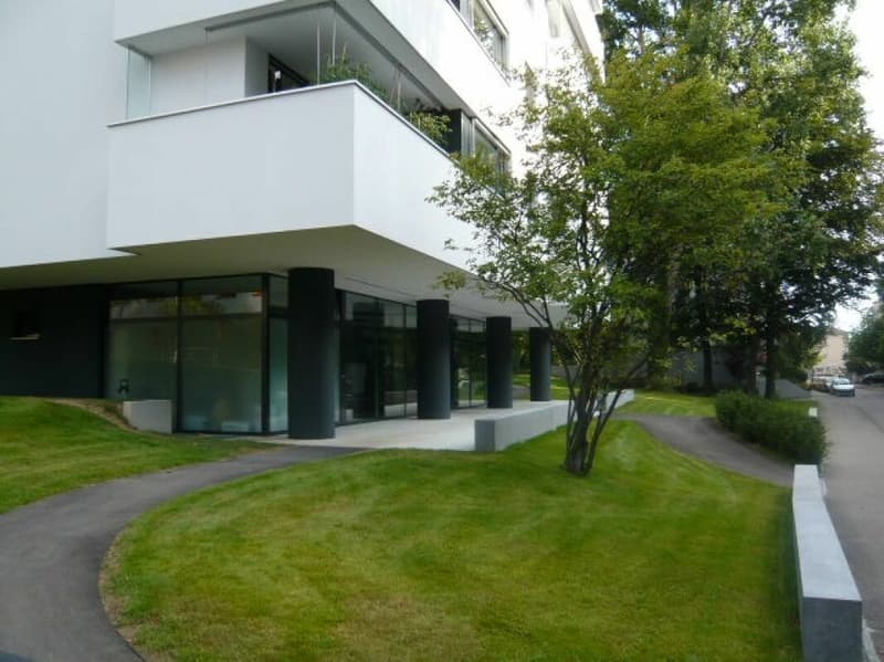 Zwischen Hallenbad und Birsig - schöne 3-Zimmer-Wohnung in Binningen (1)