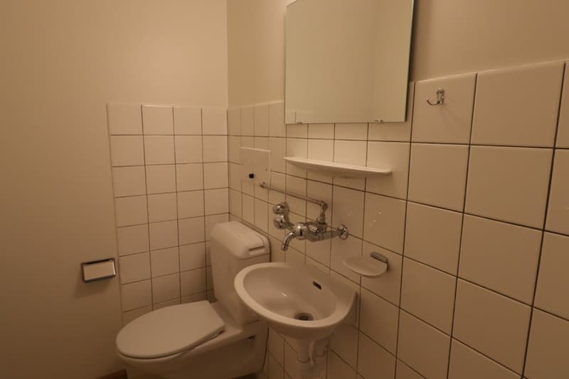 Zwischen Hallenbad und Birsig - schöne 3-Zimmer-Wohnung in Binningen (9)