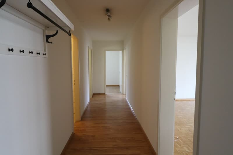 Zwischen Hallenbad und Birsig - schöne 3-Zimmer-Wohnung in Binningen (4)