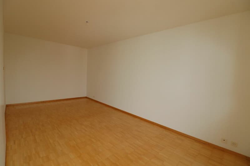 geräumige, helle 2-Zimmer-Wohnung in Kleinbasel zu vermieten (8)