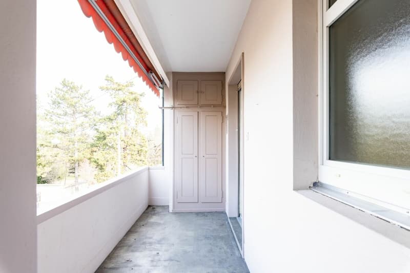 Nähe Kannenfeldpark, gemütliche 2-Zimmer-Wohnung zu vermieten (5)