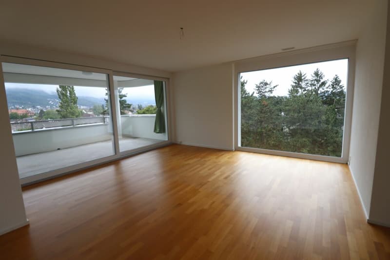 Nähe Gartenstadt, Münchenstein - moderne 3 1/2-Zimmerwohnung im 4.OG (2)